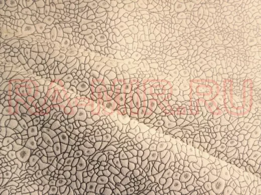 Ткань-11 мебельная Вольт 01 ширина рулона 1,4метра (в погонных метрах)