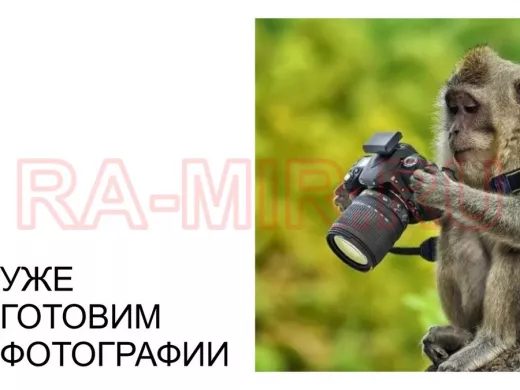 Винт оцинк. с полукруглой головой 6х 16 DIN 7985   250шт "ABI-KREP 44831" 1,572кг крест.PH3 6,29г